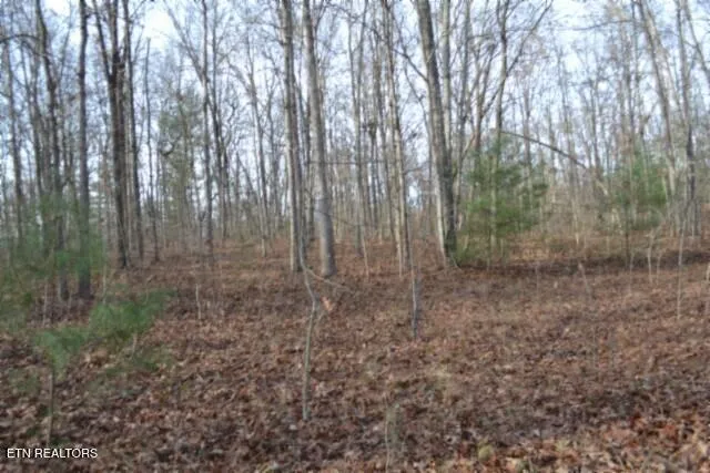 $118,733 | Lot 4 Shotgun Annie Road, Jamestown, TN 38556