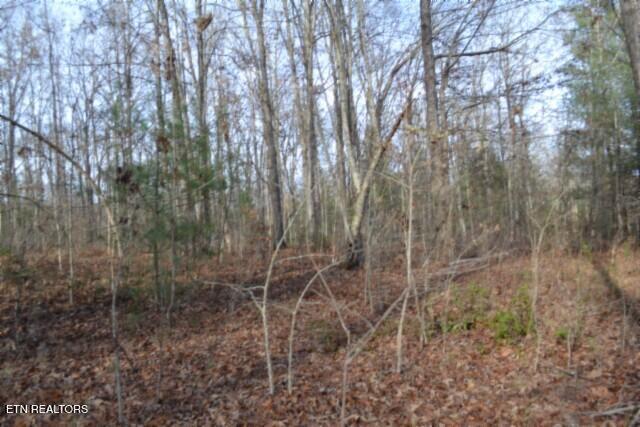 Lot 4 Shotgun Annie Road Jamestown, TN 38556 - Photo 19 of 59 DSC_0020