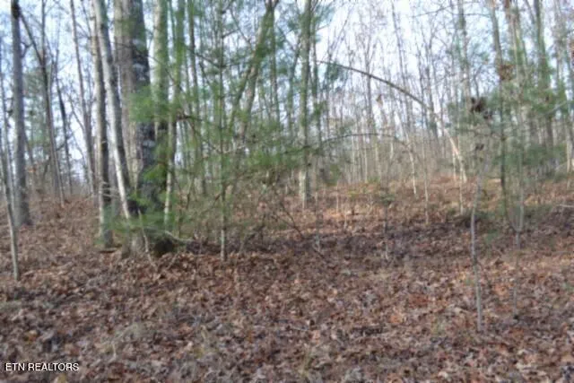 $118,733 | Lot 4 Shotgun Annie Road, Jamestown, TN 38556