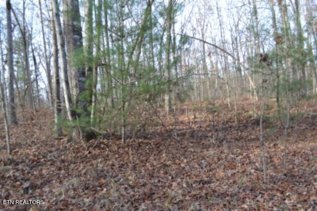 Lot 4 Shotgun Annie Road Jamestown, TN 38556 - Photo 20 of 59 DSC_0023