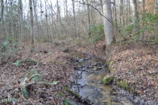 $118,733 | Lot 4 Shotgun Annie Road, Jamestown, TN 38556