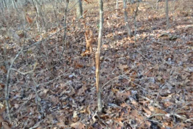 $118,733 | Lot 4 Shotgun Annie Road, Jamestown, TN 38556