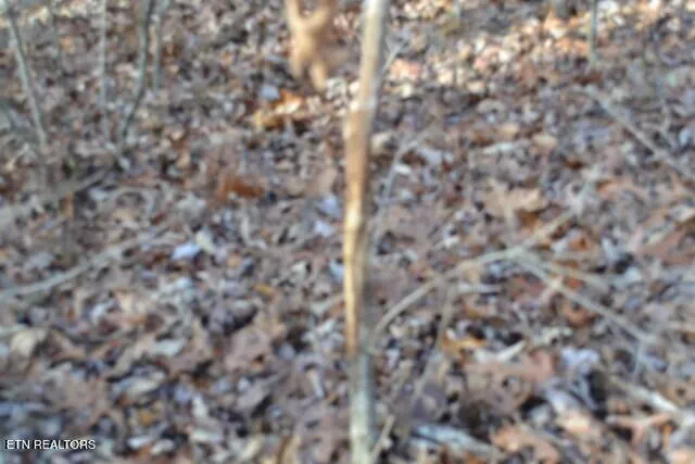 $118,733 | Lot 4 Shotgun Annie Road, Jamestown, TN 38556