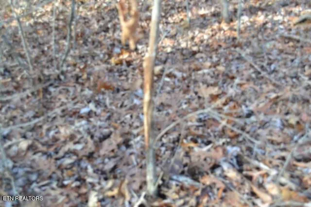 $118,733 | Lot 4 Shotgun Annie Road, Jamestown, TN 38556