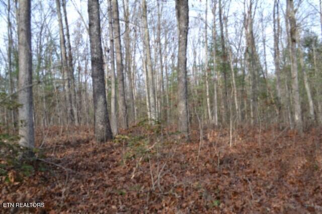 Lot 4 Shotgun Annie Road Jamestown, TN 38556 - Photo 24 of 59 DSC_0027