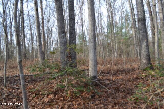 Lot 4 Shotgun Annie Road Jamestown, TN 38556 - Photo 25 of 59 DSC_0028