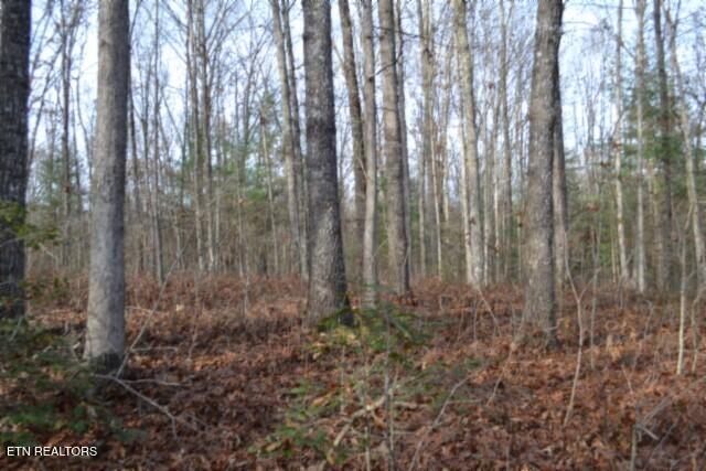 Lot 4 Shotgun Annie Road Jamestown, TN 38556 - Photo 26 of 59 DSC_0029