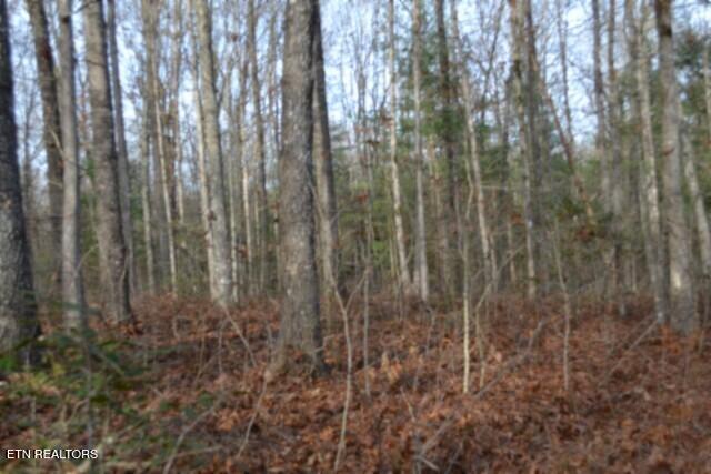 Lot 4 Shotgun Annie Road Jamestown, TN 38556 - Photo 27 of 59 DSC_0031