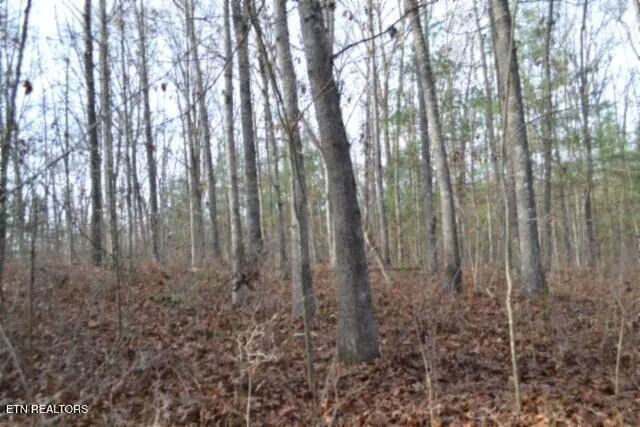 $118,733 | Lot 4 Shotgun Annie Road, Jamestown, TN 38556