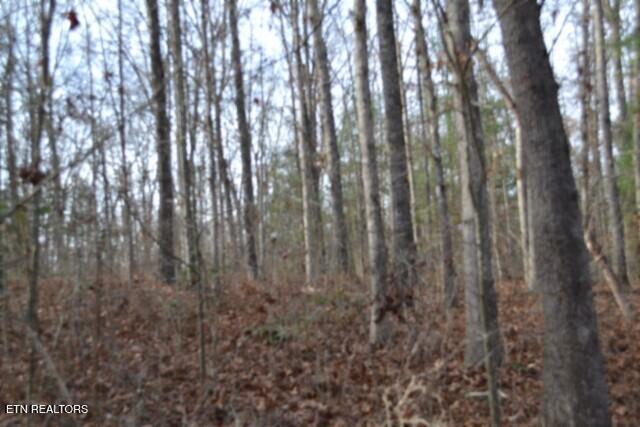 Lot 4 Shotgun Annie Road Jamestown, TN 38556 - Photo 29 of 59 DSC_0033