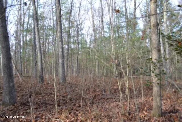 $118,733 | Lot 4 Shotgun Annie Road, Jamestown, TN 38556