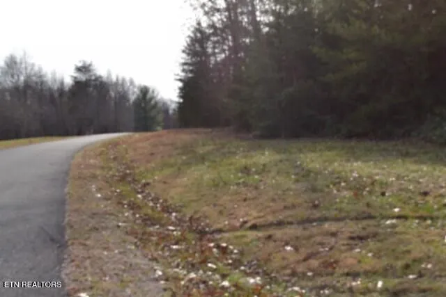 $118,733 | Lot 4 Shotgun Annie Road, Jamestown, TN 38556