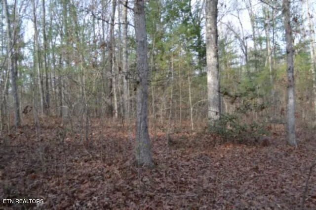 $118,733 | Lot 4 Shotgun Annie Road, Jamestown, TN 38556