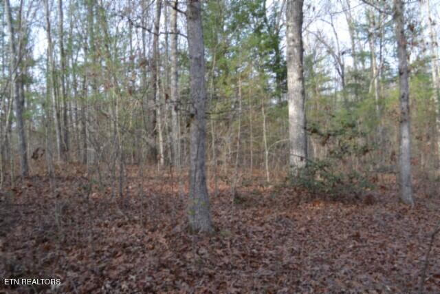 Lot 4 Shotgun Annie Road Jamestown, TN 38556 - Photo 31 of 59 DSC_0035