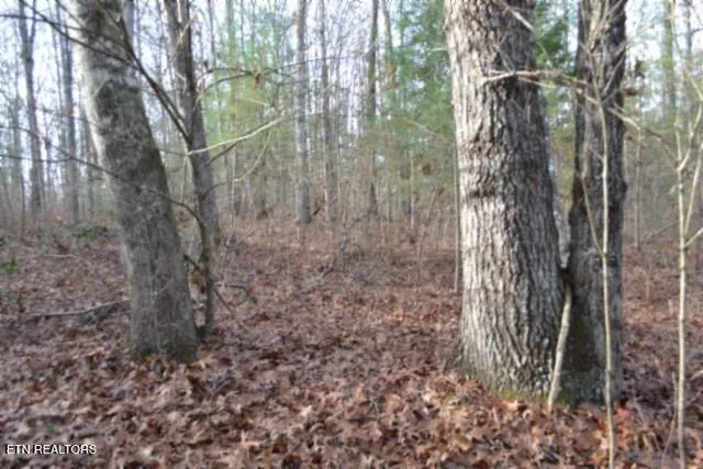 $118,733 | Lot 4 Shotgun Annie Road, Jamestown, TN 38556