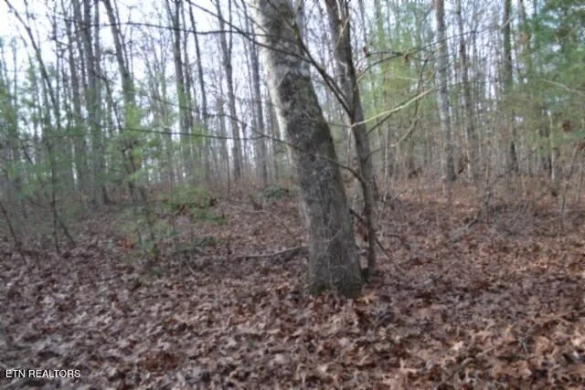 $118,733 | Lot 4 Shotgun Annie Road, Jamestown, TN 38556