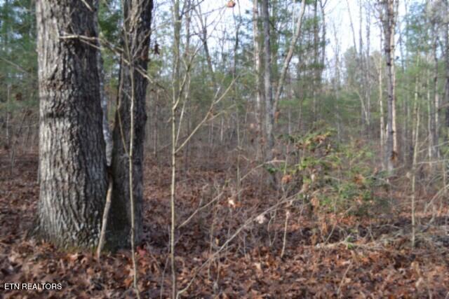 Lot 4 Shotgun Annie Road Jamestown, TN 38556 - Photo 34 of 59 DSC_0038