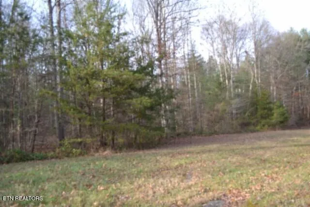 $118,733 | Lot 4 Shotgun Annie Road, Jamestown, TN 38556
