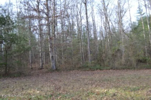$118,733 | Lot 4 Shotgun Annie Road, Jamestown, TN 38556