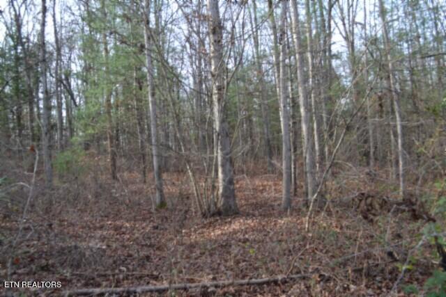 Lot 4 Shotgun Annie Road Jamestown, TN 38556 - Photo 37 of 59 DSC_0042