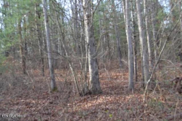 $118,733 | Lot 4 Shotgun Annie Road, Jamestown, TN 38556