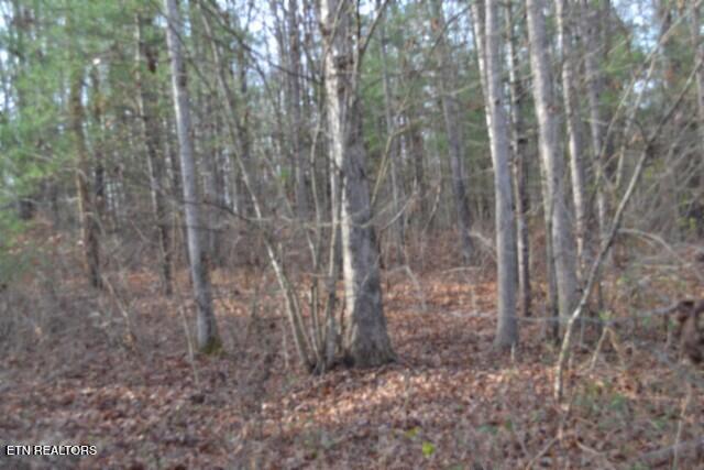 Lot 4 Shotgun Annie Road Jamestown, TN 38556 - Photo 38 of 59 DSC_0043