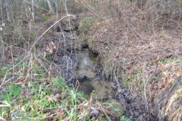 Lot 4 Shotgun Annie Road Jamestown, TN 38556 - Photo 39 of 59 DSC_0045