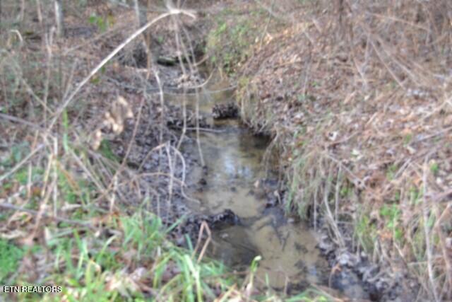 Lot 4 Shotgun Annie Road Jamestown, TN 38556 - Photo 40 of 59 DSC_0046