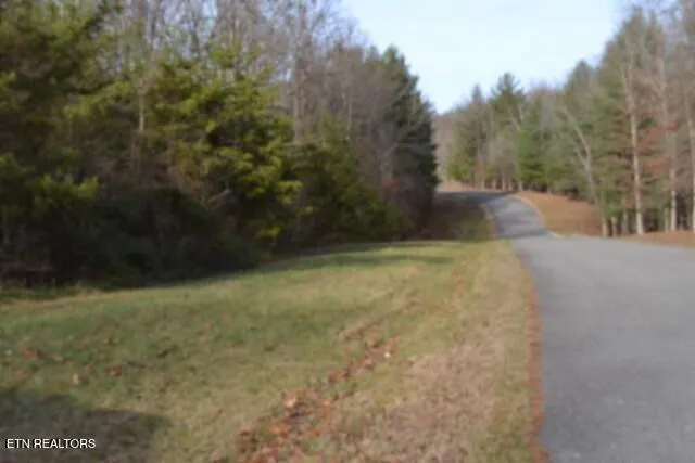 $118,733 | Lot 4 Shotgun Annie Road, Jamestown, TN 38556