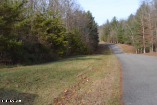 Lot 4 Shotgun Annie Road Jamestown, TN 38556 - Photo 4 of 59 DSC_0002
