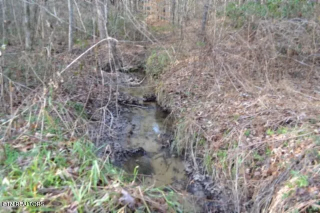 $118,733 | Lot 4 Shotgun Annie Road, Jamestown, TN 38556