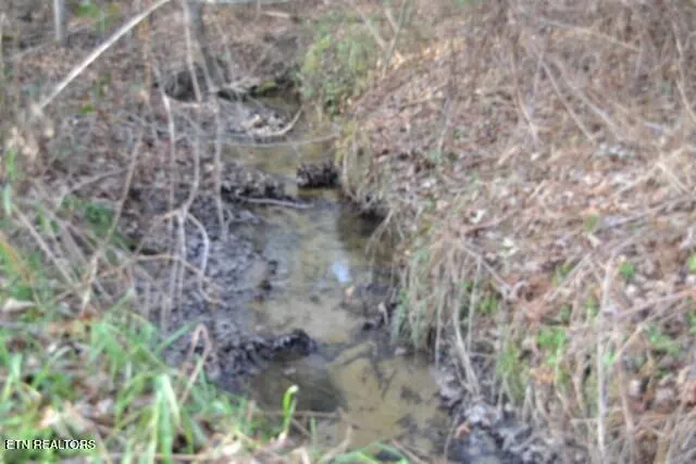 $118,733 | Lot 4 Shotgun Annie Road, Jamestown, TN 38556