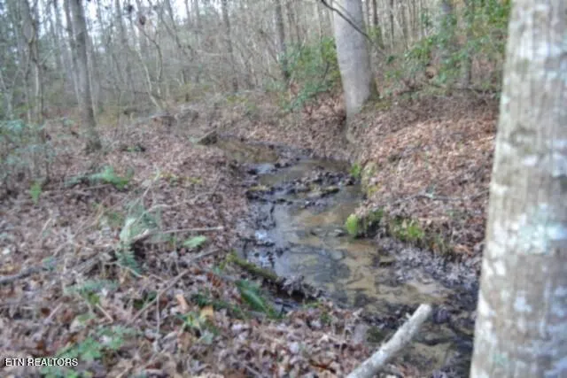 $118,733 | Lot 4 Shotgun Annie Road, Jamestown, TN 38556