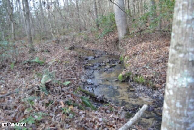 Lot 4 Shotgun Annie Road Jamestown, TN 38556 - Photo 43 of 59 DSC_0049