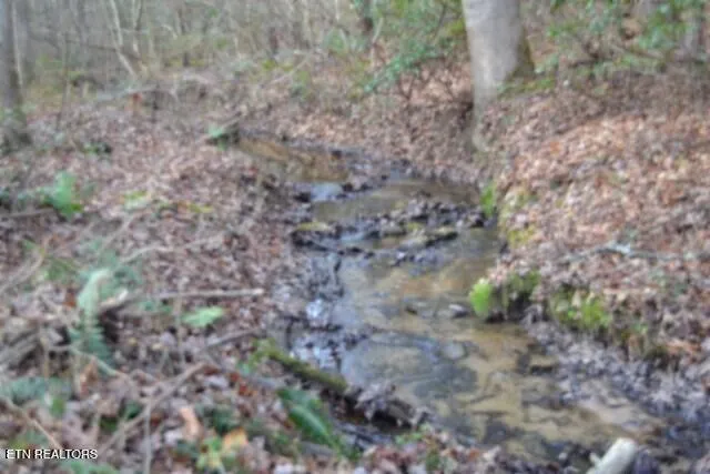 $118,733 | Lot 4 Shotgun Annie Road, Jamestown, TN 38556