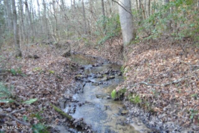 Lot 4 Shotgun Annie Road Jamestown, TN 38556 - Photo 45 of 59 DSC_0055
