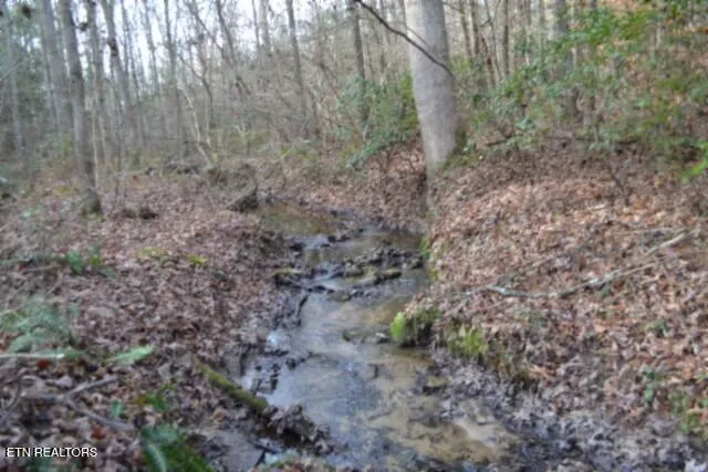 $118,733 | Lot 4 Shotgun Annie Road, Jamestown, TN 38556