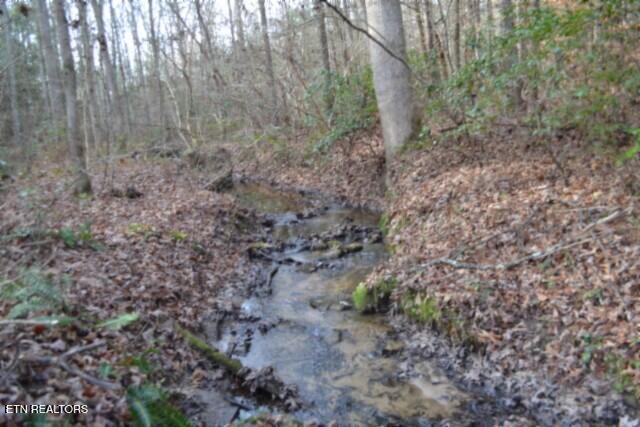 Lot 4 Shotgun Annie Road Jamestown, TN 38556 - Photo 46 of 59 DSC_0057