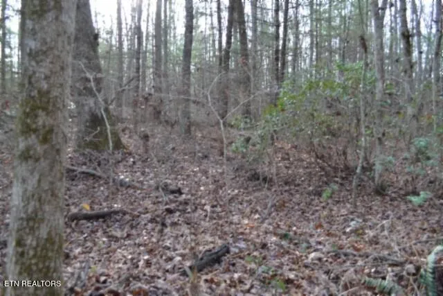 $118,733 | Lot 4 Shotgun Annie Road, Jamestown, TN 38556