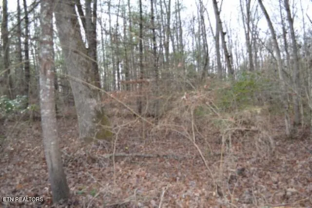 $118,733 | Lot 4 Shotgun Annie Road, Jamestown, TN 38556