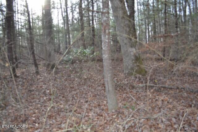 Lot 4 Shotgun Annie Road Jamestown, TN 38556 - Photo 50 of 59 DSC_0061