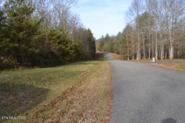 Lot 4 Shotgun Annie Road Jamestown, TN 38556 - Photo 5 of 59 DSC_0003