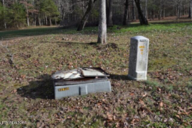 Lot 4 Shotgun Annie Road Jamestown, TN 38556 - Photo 52 of 59 DSC_0063