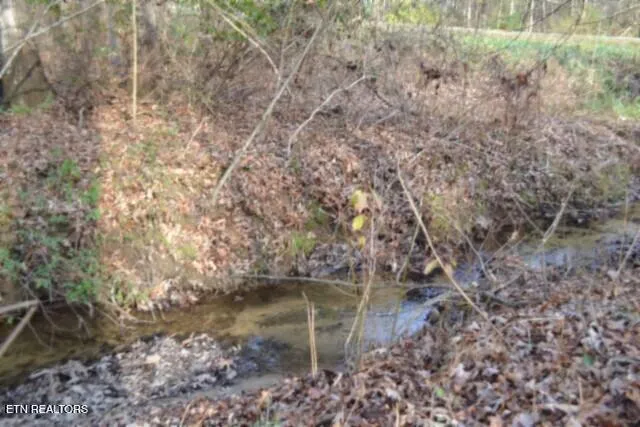 $118,733 | Lot 4 Shotgun Annie Road, Jamestown, TN 38556