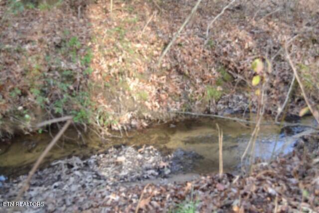 Lot 4 Shotgun Annie Road Jamestown, TN 38556 - Photo 54 of 59 GOOD OF CREEK 2