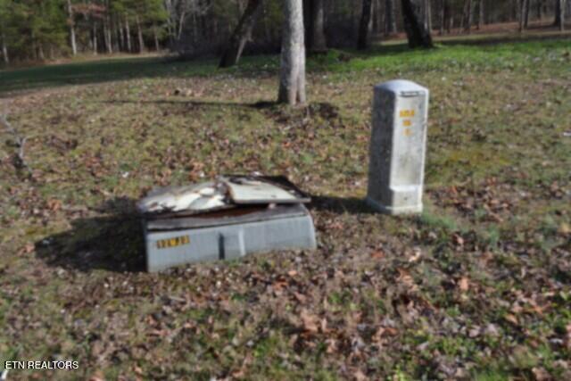 Lot 4 Shotgun Annie Road Jamestown, TN 38556 - Photo 55 of 59 UNDERGROUND UTILITIES