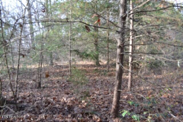 Lot 4 Shotgun Annie Road Jamestown, TN 38556 - Photo 7 of 59 DSC_0008