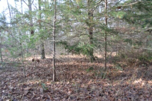 Lot 4 Shotgun Annie Road Jamestown, TN 38556 - Photo 9 of 59 DSC_0010