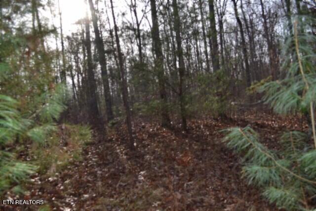 Lot 4 Shotgun Annie Road Jamestown, TN 38556 - Photo 10 of 59 DSC_0011