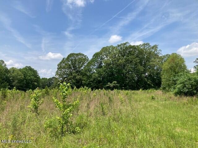 Bear Creek Road Utica, MS 39175 - Photo 1 of 14 bc11
